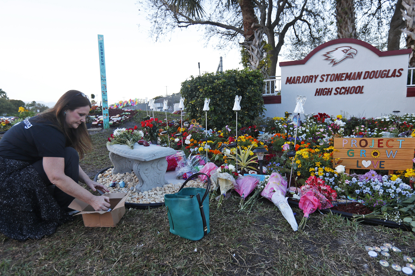 Congress Again Tries to Pass Eagles Act, Focused on School Shootings After Parkland - Vimarsana News